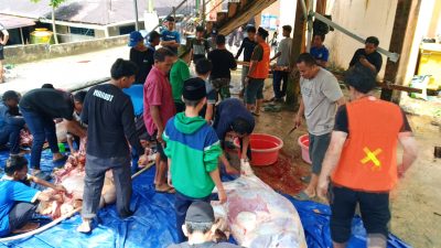 Qurban 5 Ekor Sapi dan 3 Ekor Kambing Tingkatkan Kepercayaan Masyarakat kepada Masjid Hujan Assalam