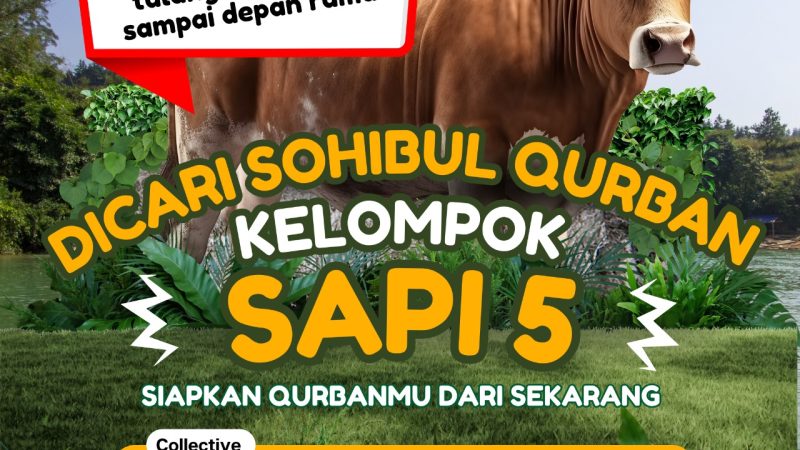 4 Sapi Terpenuhi, Kesempatan Terbatas Program Sohibul Qurban Kelompok Sapi ke-5 Telah Dibuka